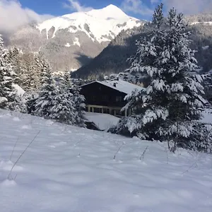 Chalet-hotel Starlight Morzine